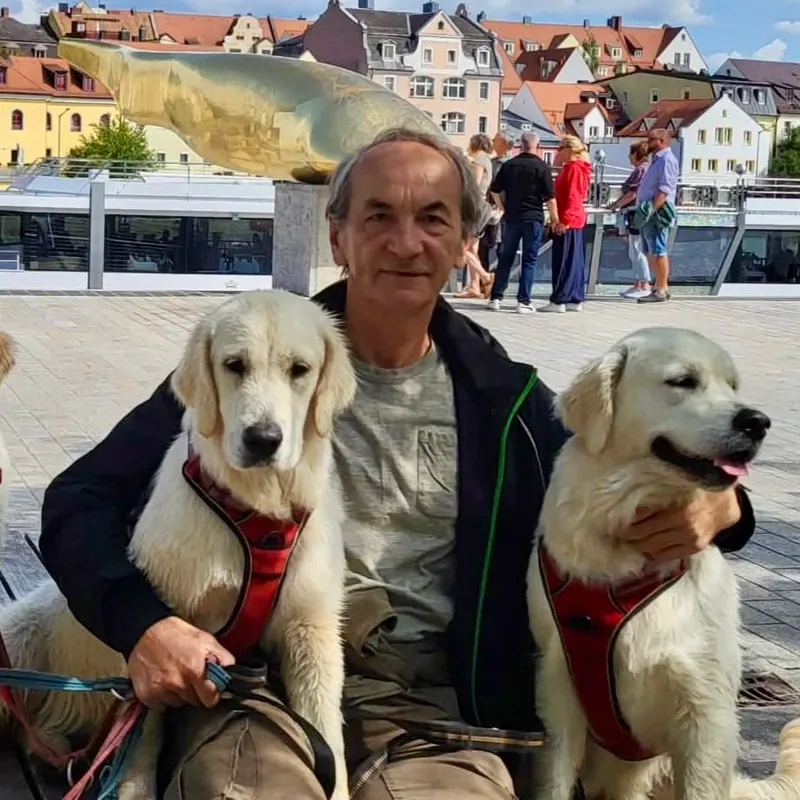 Dariusz mit zwei Golden Retrievern in der Stadt