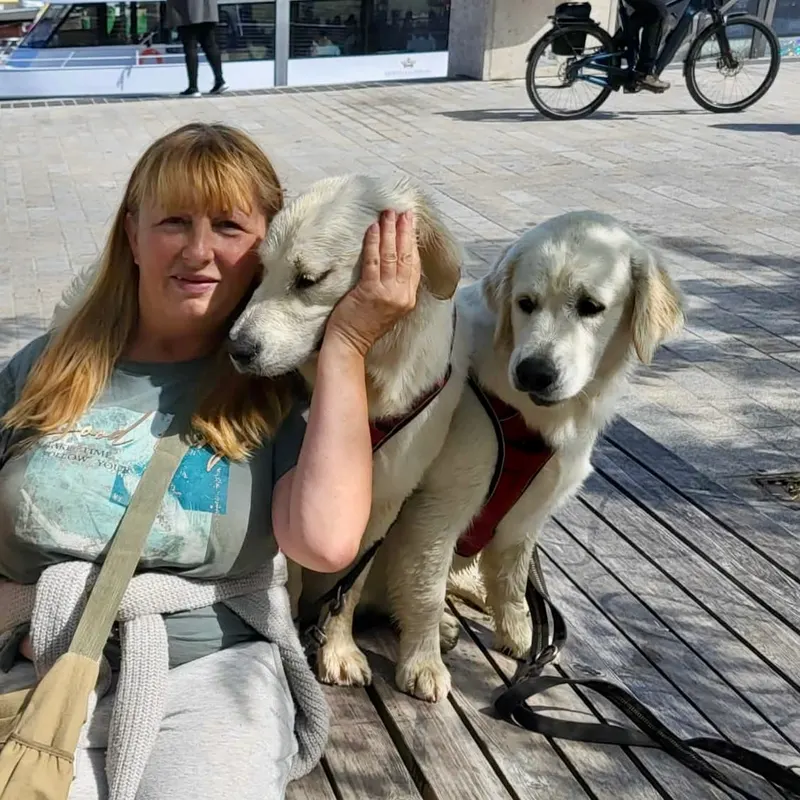 Halina mit zwei Golden Retrievern