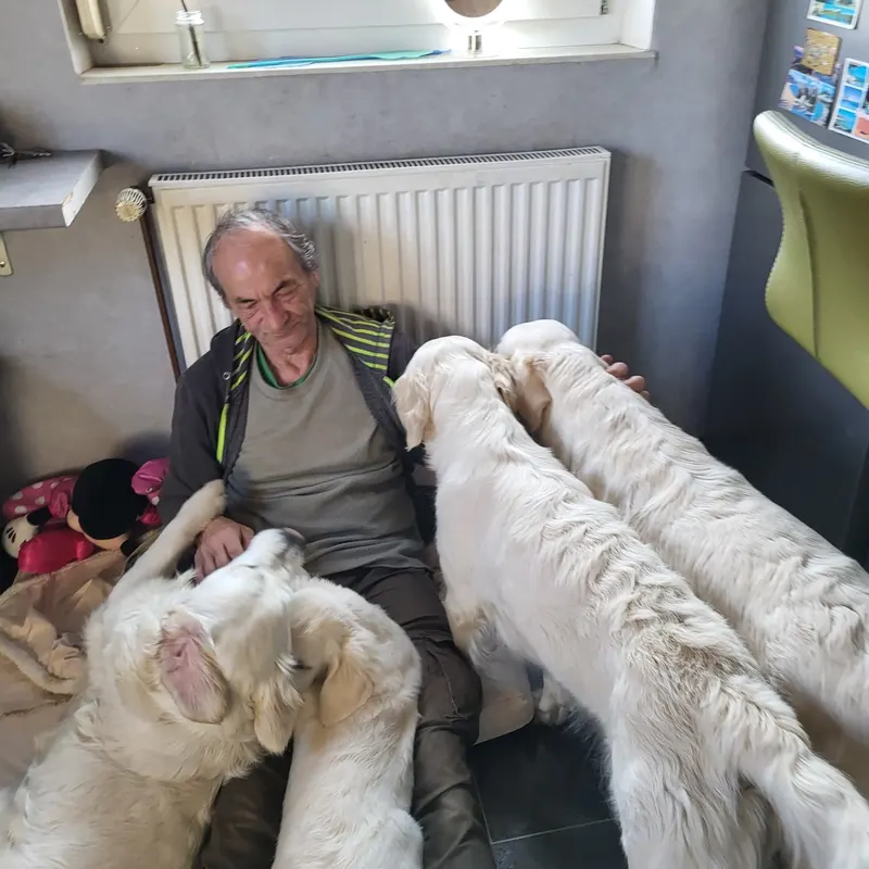 Rudel im Wohnzimmer